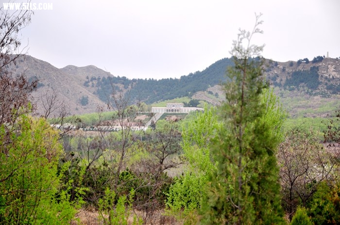 DSC_0445.JPG