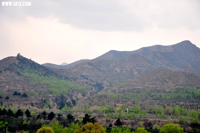 DSC_0471.JPG