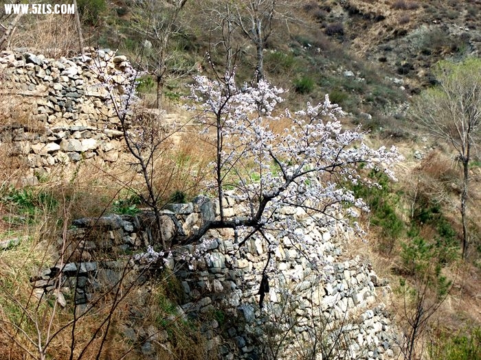 DSCF0242.jpg