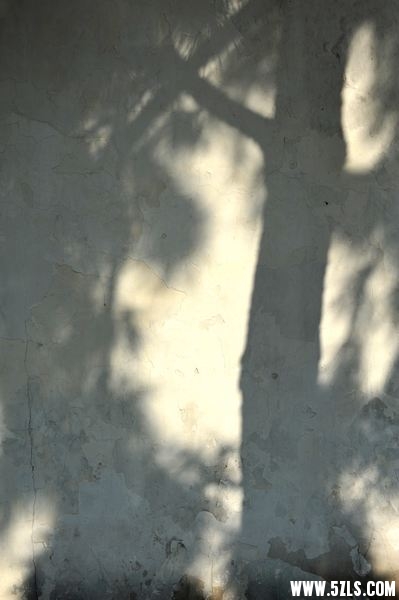DSC_4956.jpg