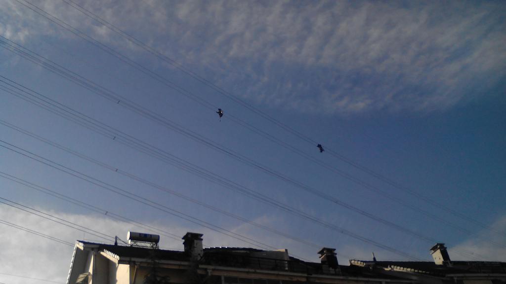 img_20150101_100516.jpg