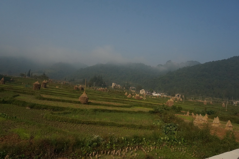 dsc04678.jpg