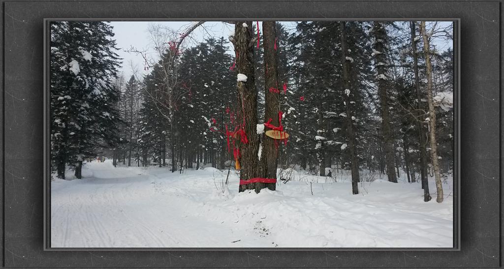 20150109_143604_.jpg