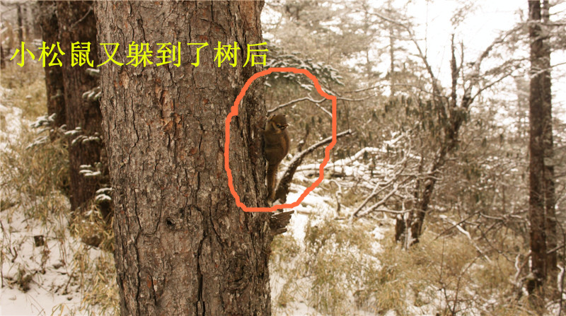dsc06905_.jpg