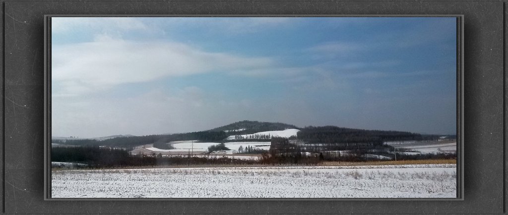 20150111_102618_.jpg