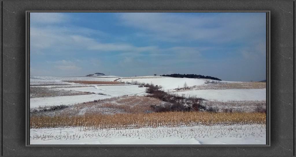 20150111_102958_.jpg