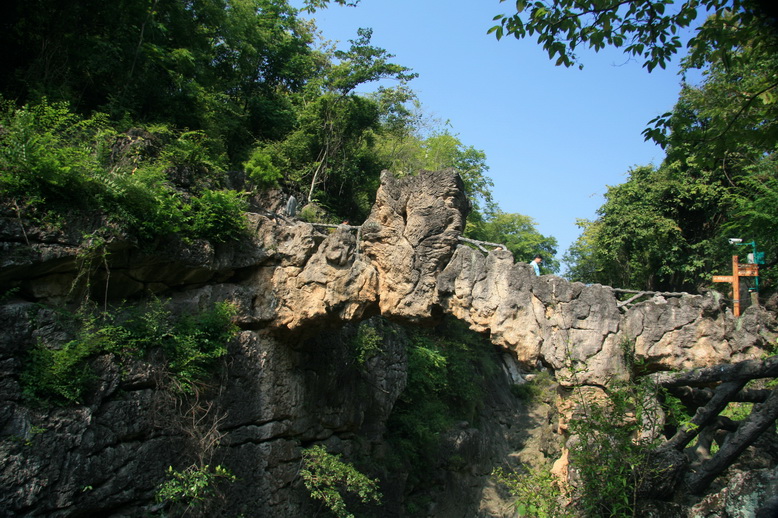 224.jpg