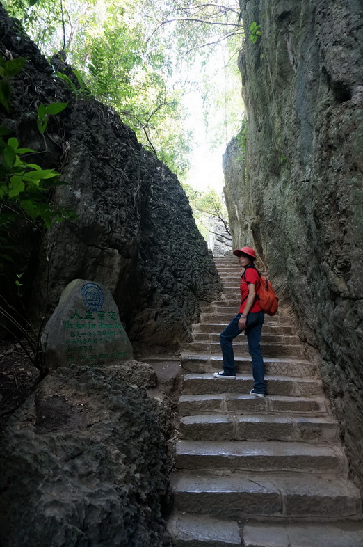 dsc04335.jpg