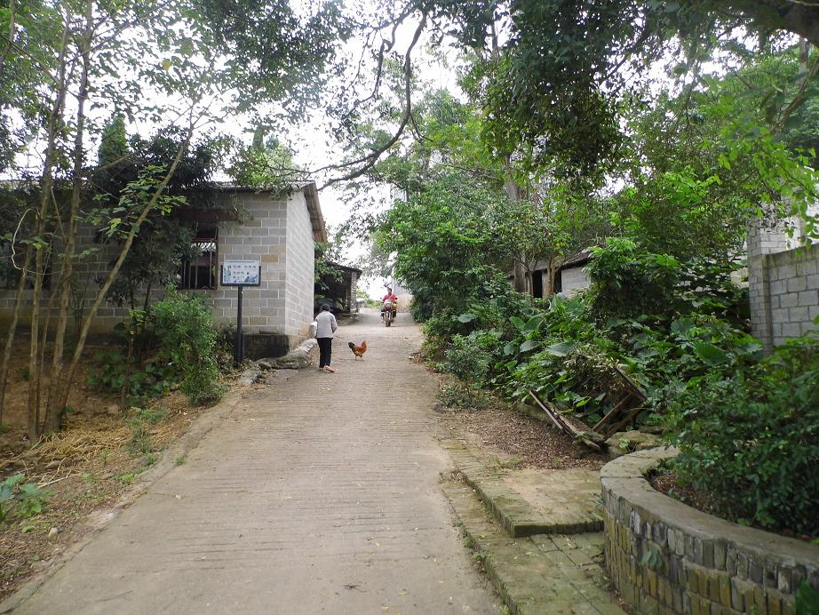 dsci4774.jpg