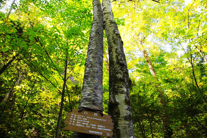 _mg_6565.jpg