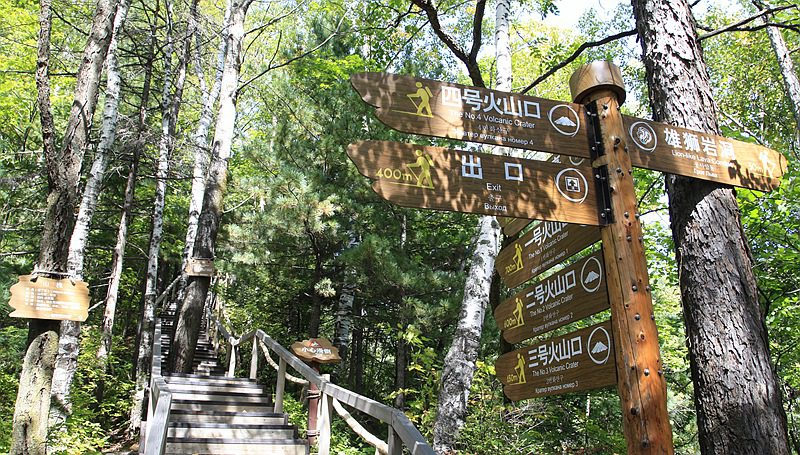 _mg_6635.jpg