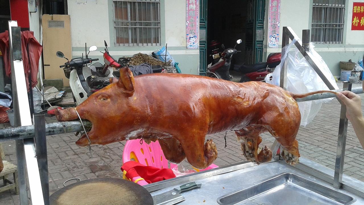 20151003_103314.jpg