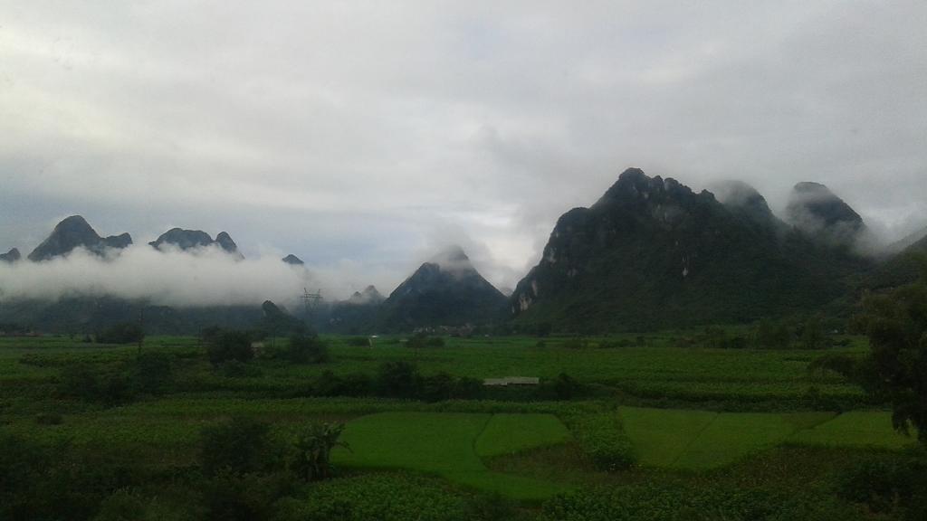 20151006_074339.jpg