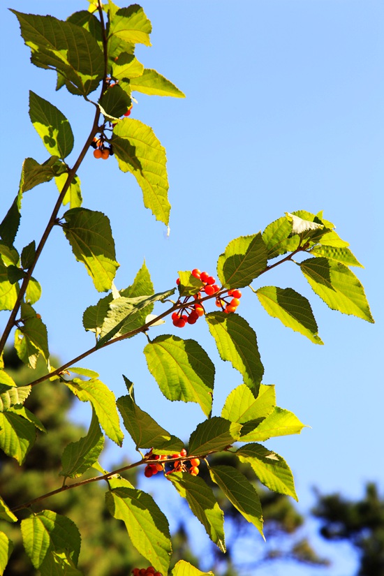 _mg_7831.jpg