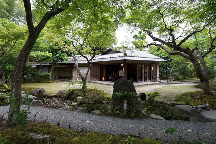 japan-1149.jpg