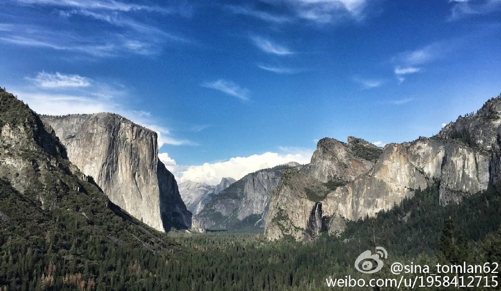 cedar yosemite valley.jpg