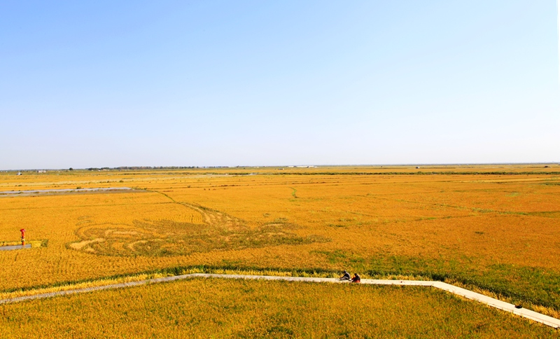 _mg_7549.jpg