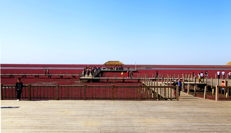 _mg_7528.jpg