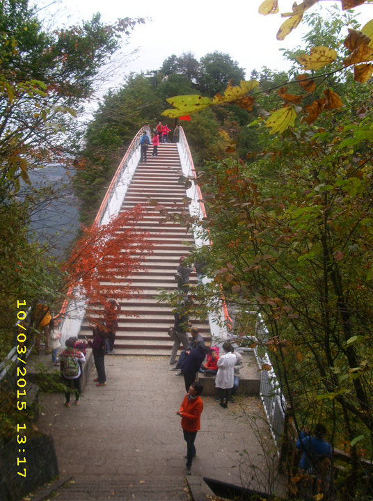 dsci9274.jpg