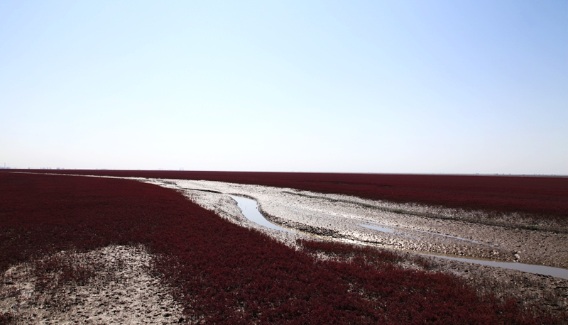 _mg_7635.jpg