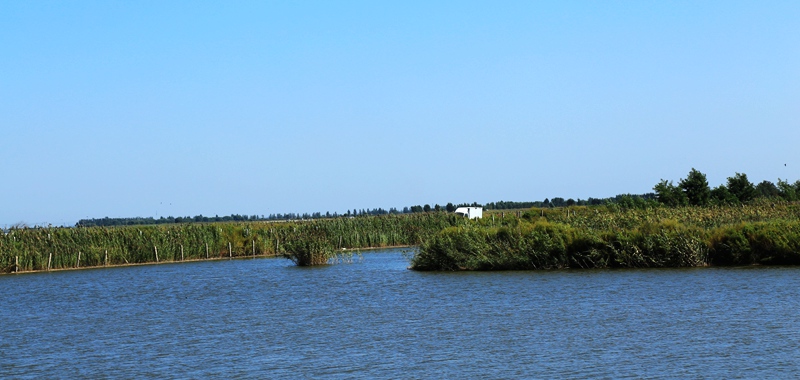 img_7548.jpg