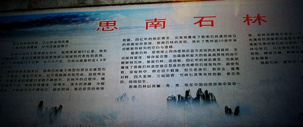 img_9134.jpg