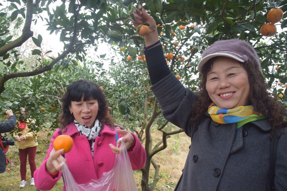 qqͼƬ20151207214043.jpg