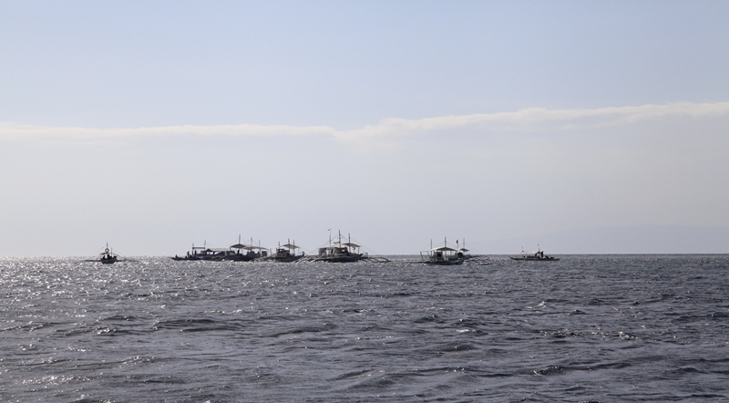 _mg_3979.jpg