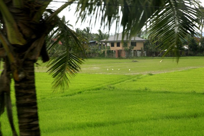 _mg_4647.jpg