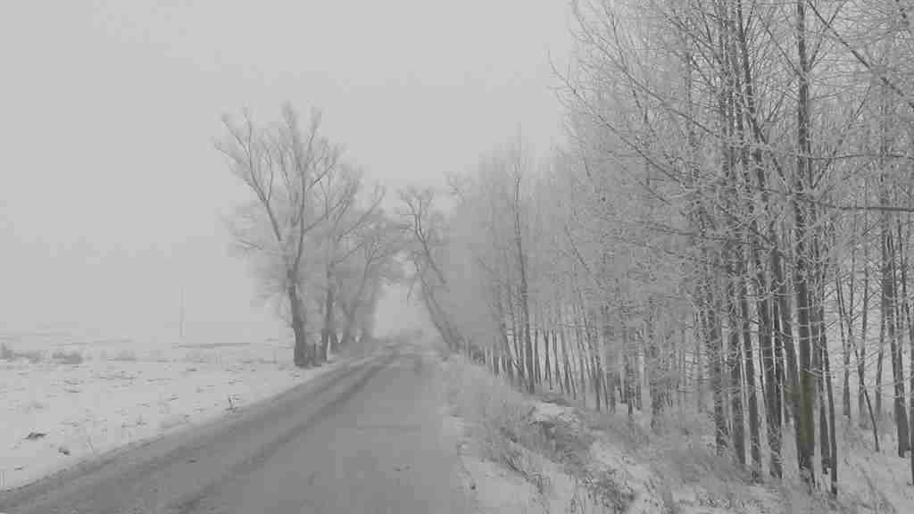 20150114_113041_.jpg
