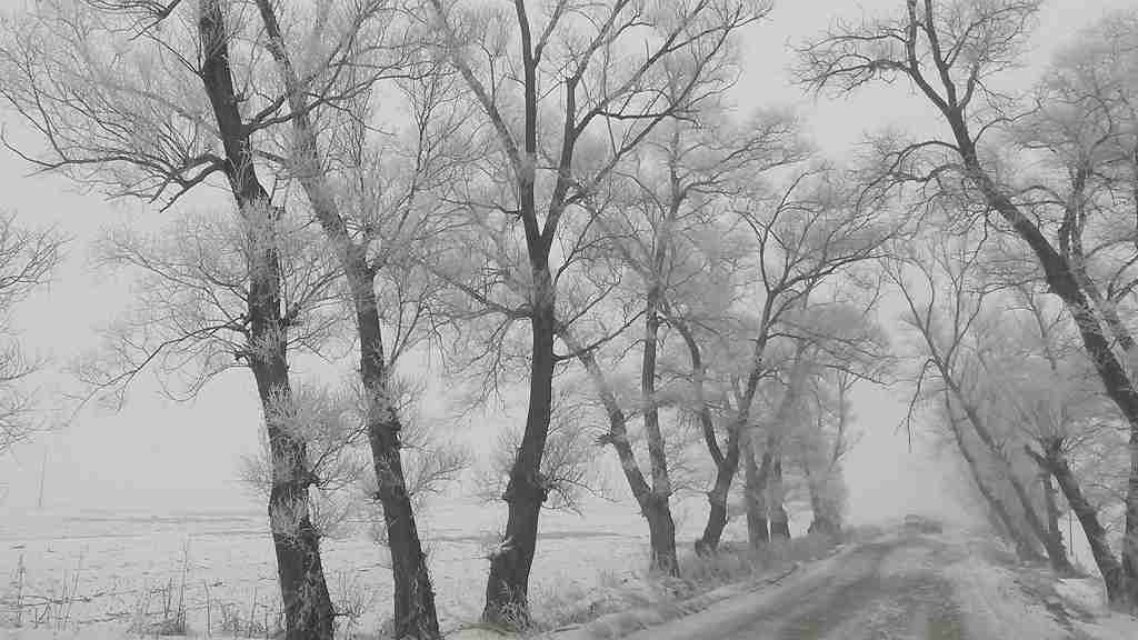 20150114_113119_.jpg