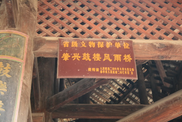 447.jpg