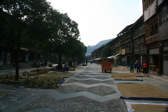 435.jpg