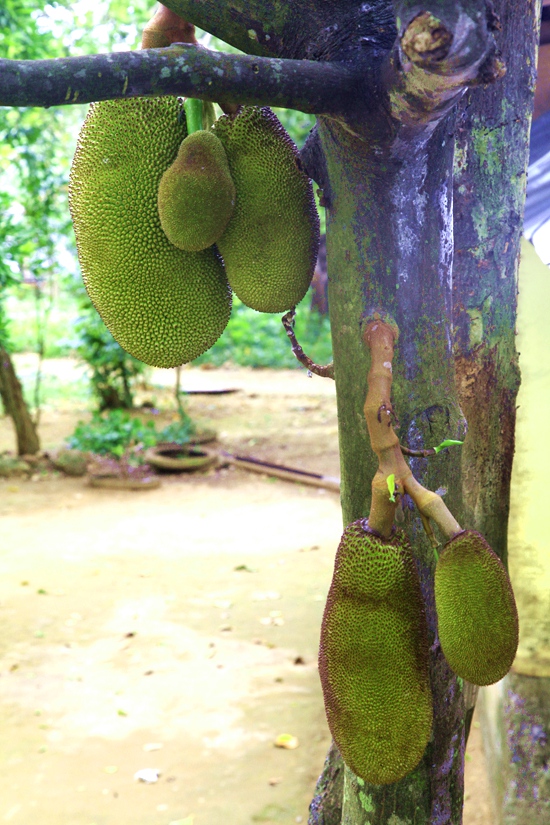 _mg_5506.jpg