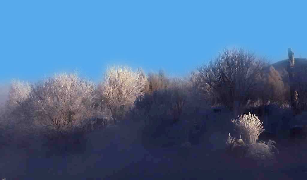 bw3p5749_.jpg