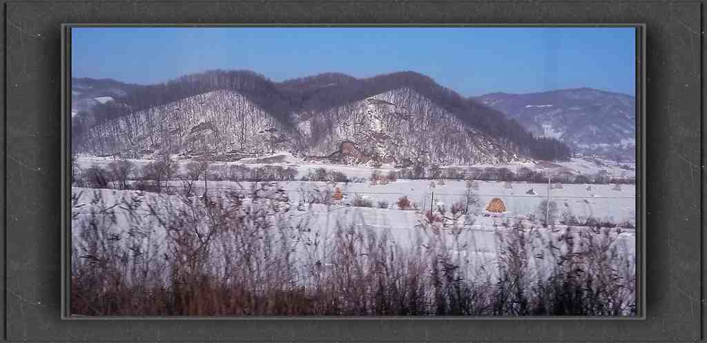 20150113_132422_.jpg