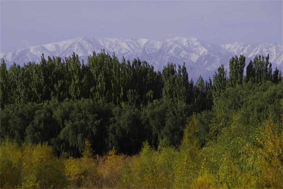 _igp4049.jpg