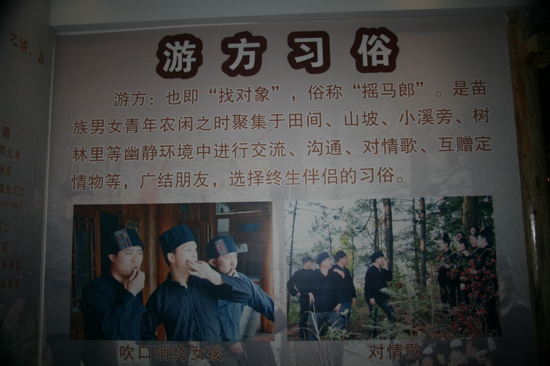 746.jpg