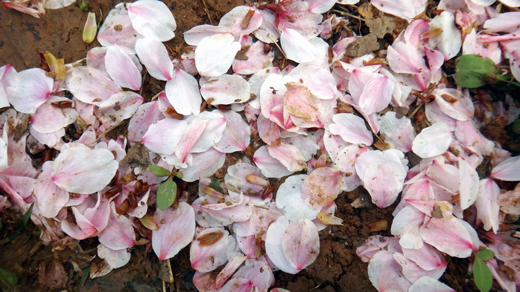 ӣ002.jpg