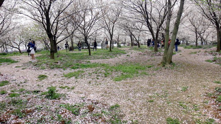 ӣ005.jpg