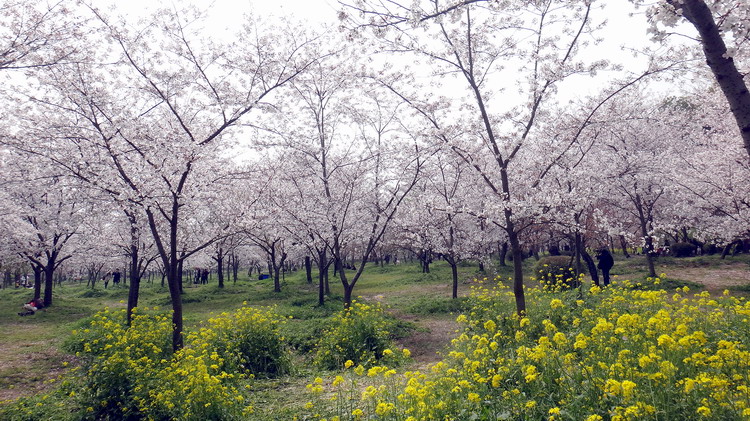 ӣ007.jpg