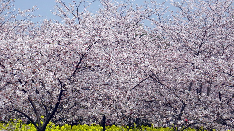 ӣ008.jpg