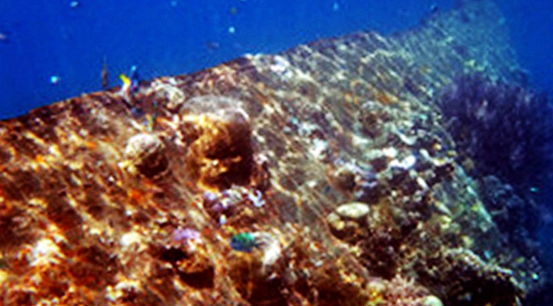 670 - .jpg