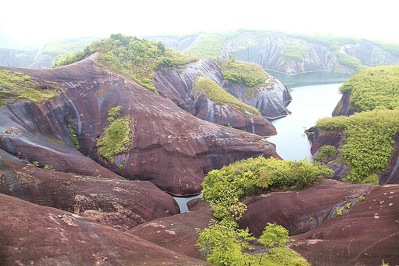 _mg_8504.jpg