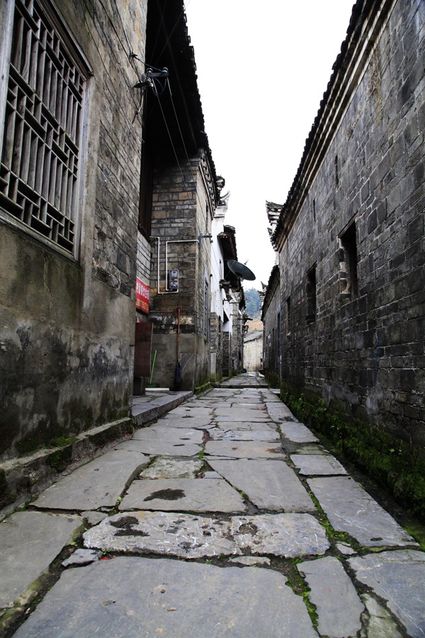 _mg_8620.jpg
