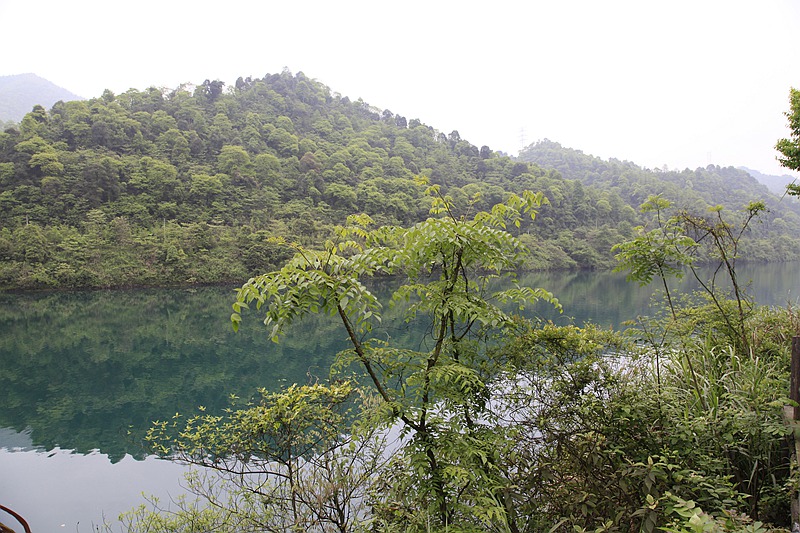 _mg_8785.jpg