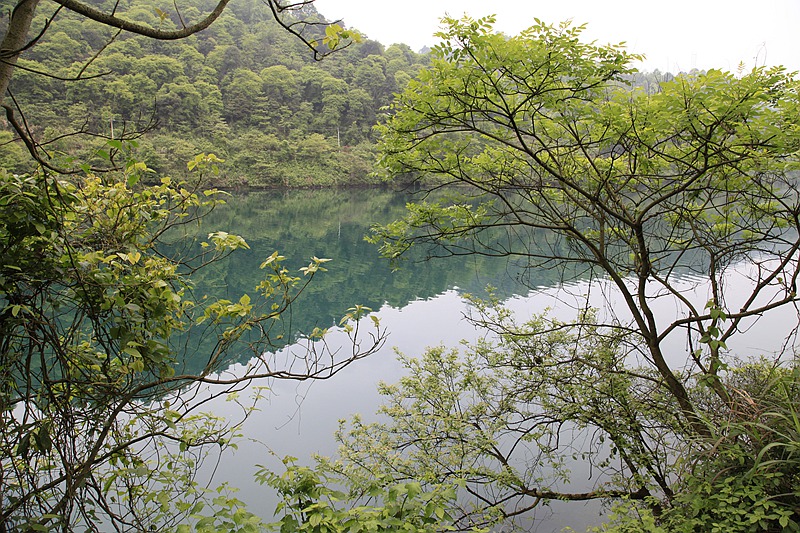 _mg_8788.jpg