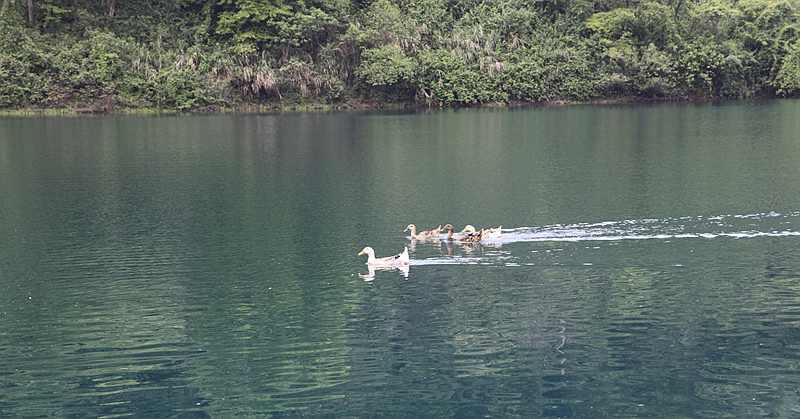 _mg_8831.jpg