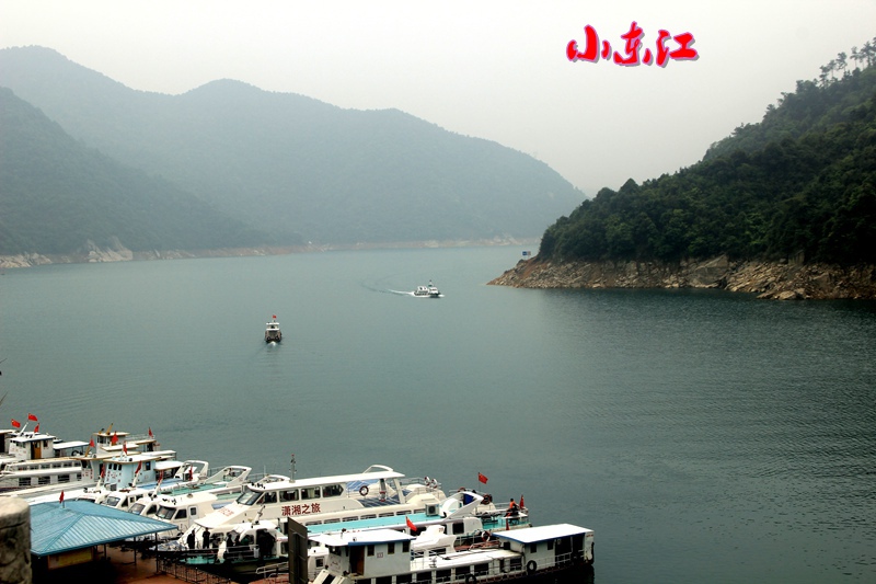 img_8065.jpg
