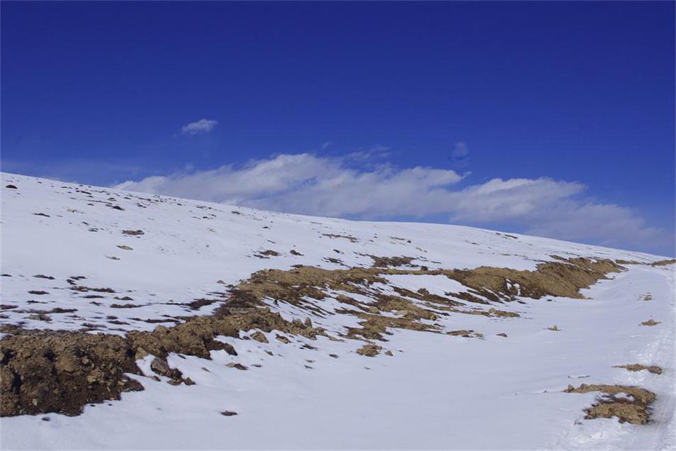 _igp6401.jpg